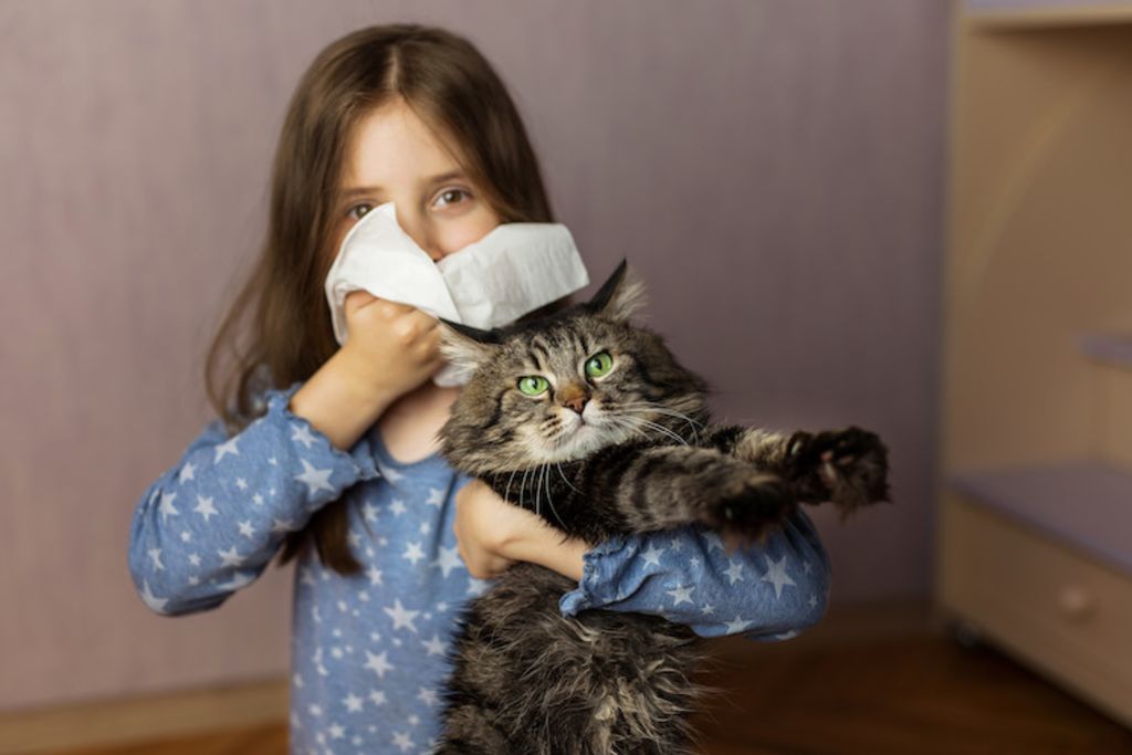 enfant allergie poils de chat