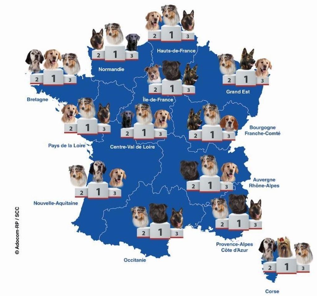 classement_des_chiens_preferes_par_région_LOF-SCC