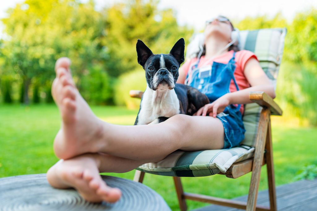 detente avec un chien