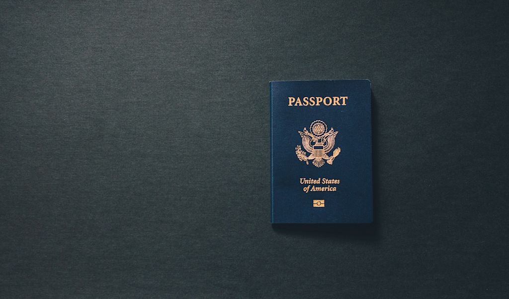 passeport chat
