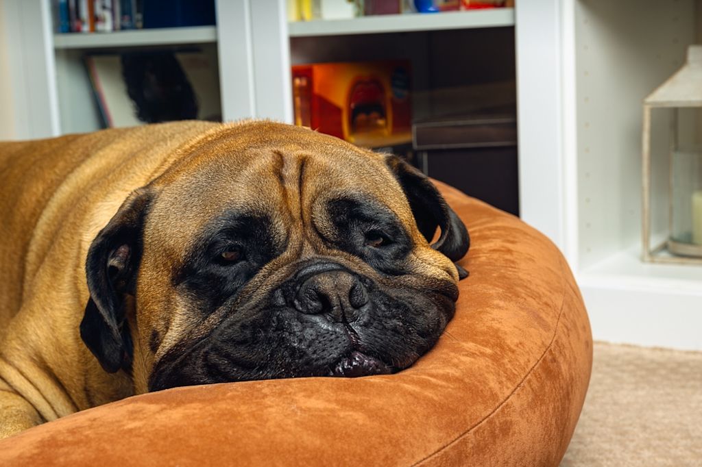 Non proprio aggressivo..