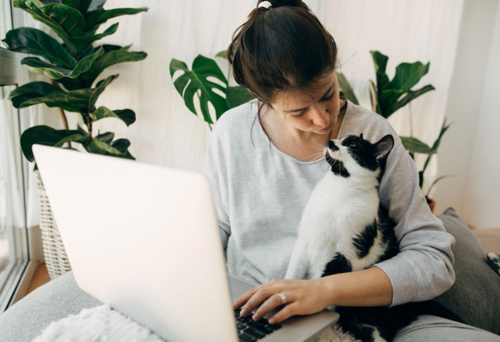 identification service client santévet