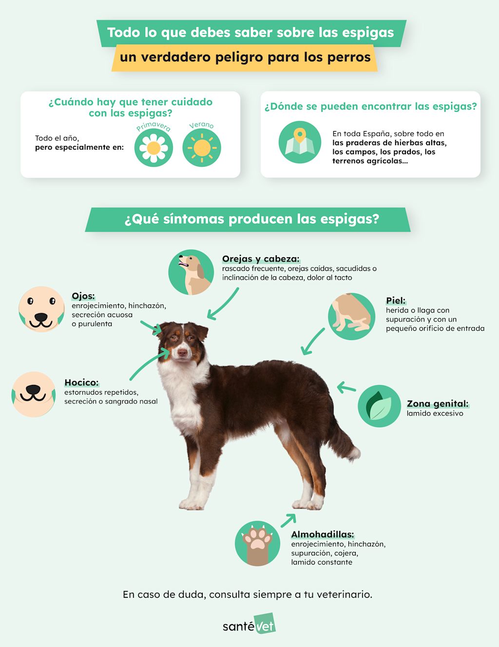 SV ES - Les Epillets