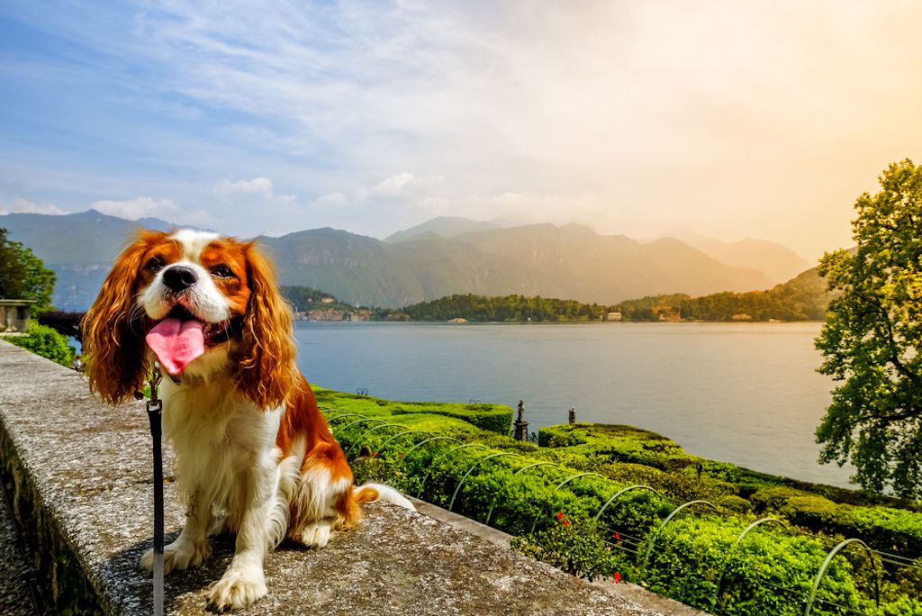 Ispiratevi al suo carattere