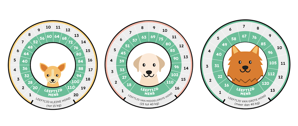 Hoe schat ik de menselijke leeftijd van mijn hond?