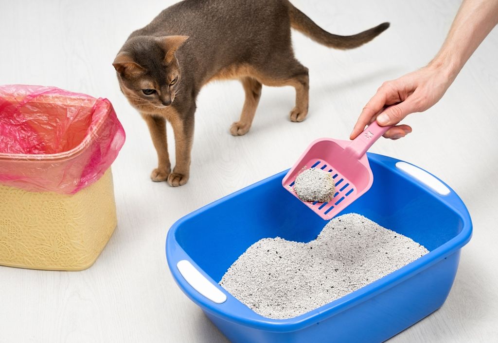 Gründliche Hygiene ist wichtig