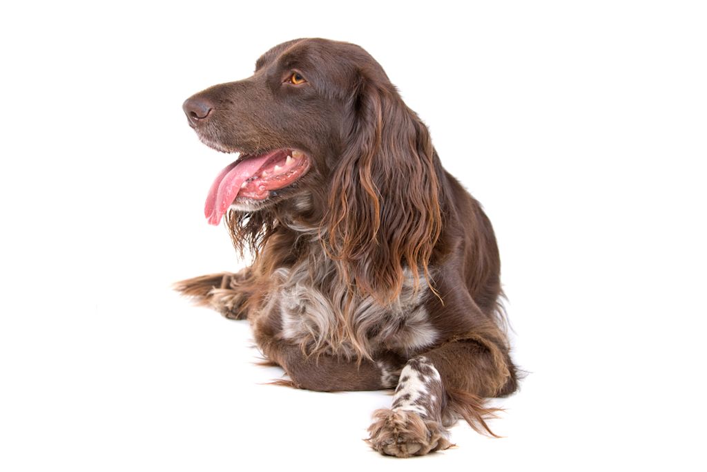 Gezieltes Training kann von klein auf beginnen