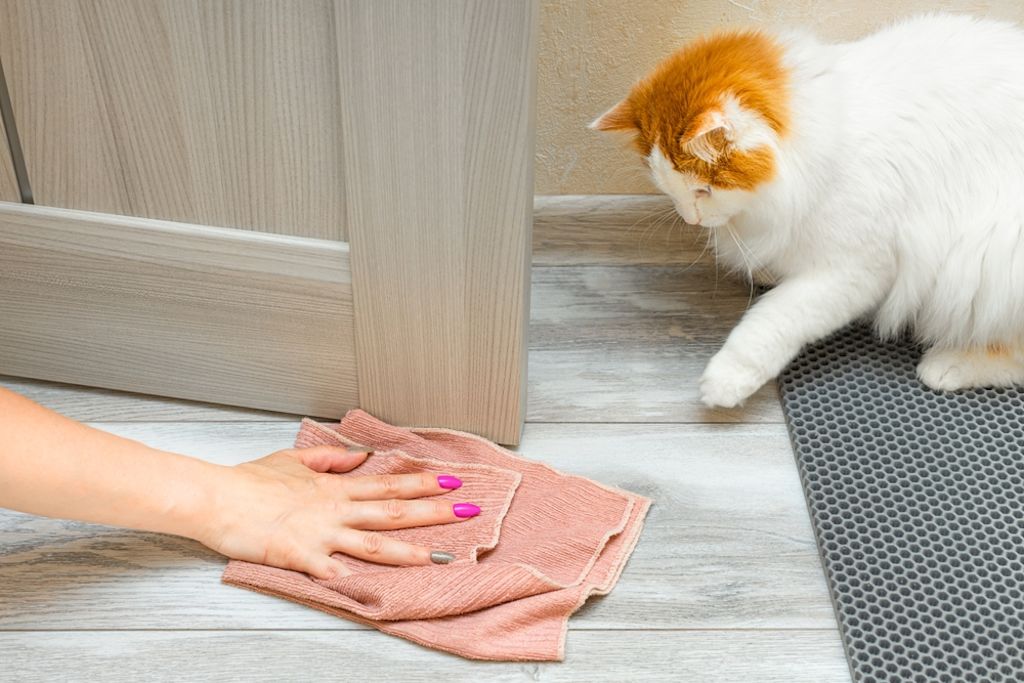 Evitare comportamenti per marcare il territorio