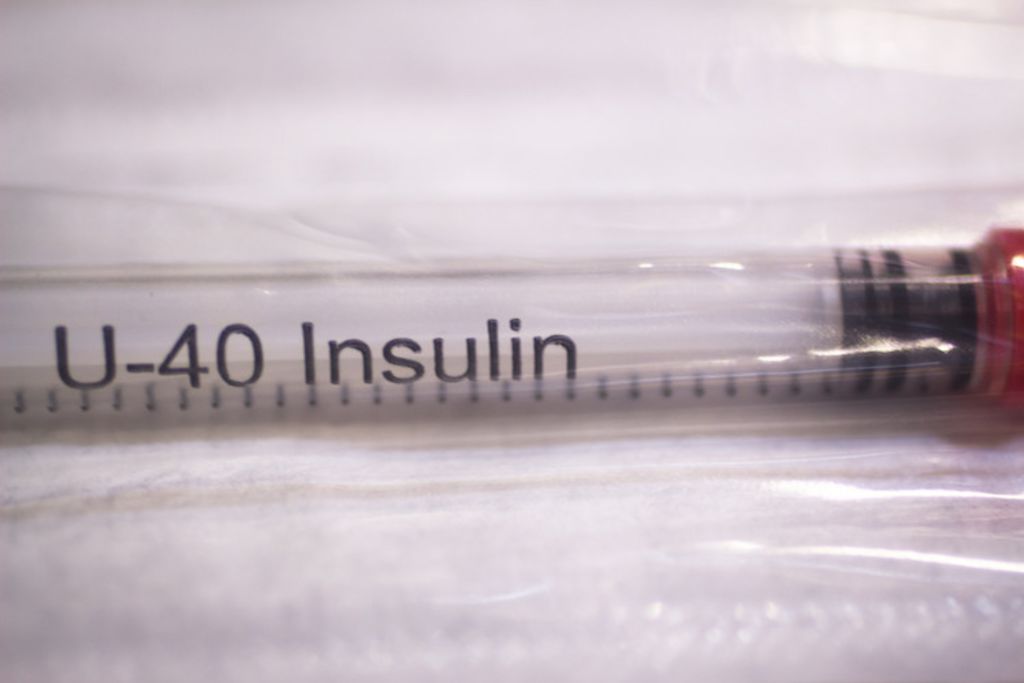 insuline_ diabete_sucre_du_chien