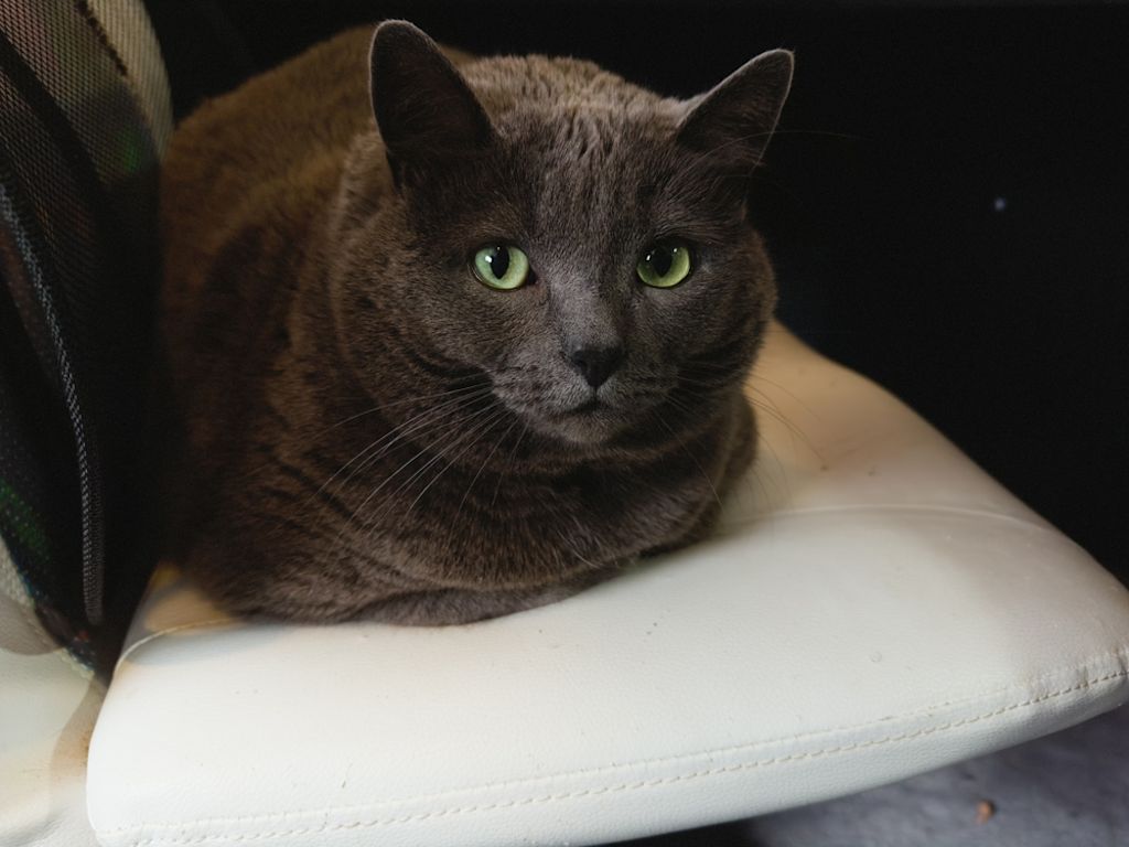 Ispirazione: carattere