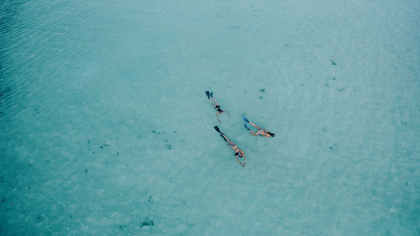 Barrier Reef