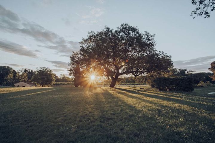Sunsets over the countryside