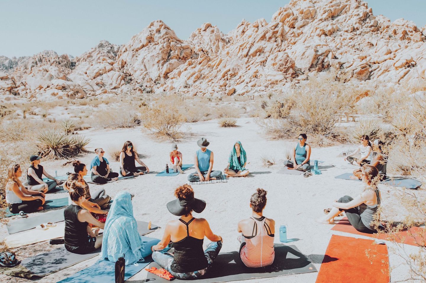 Meditate Together