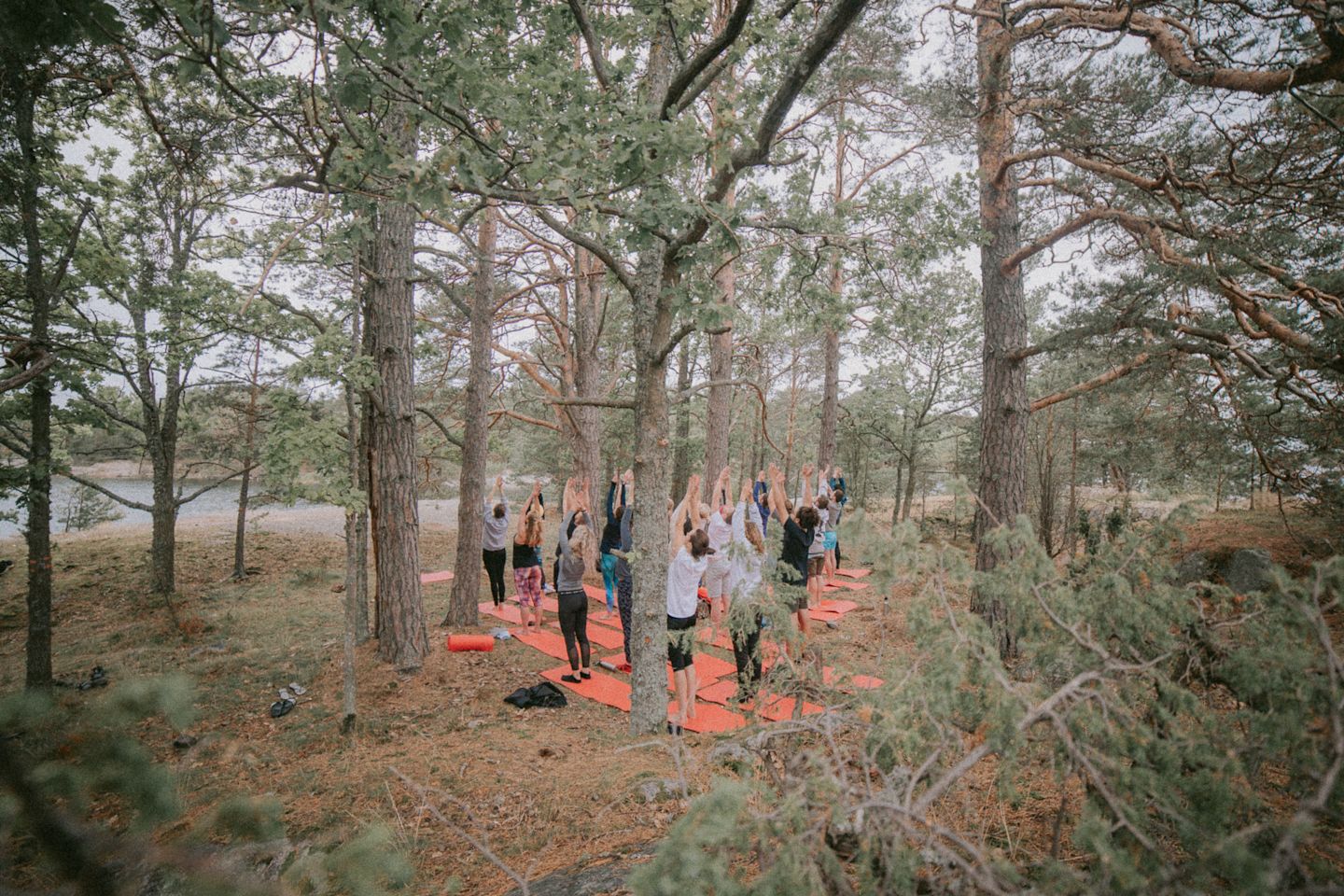 Wild yoga