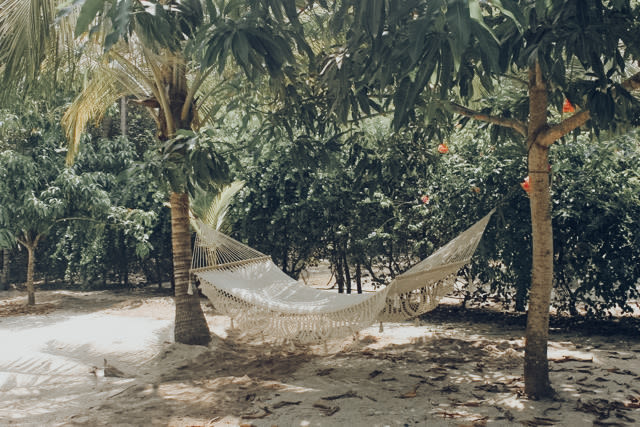 Hammock