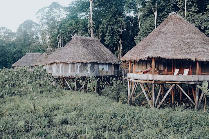 Lodge