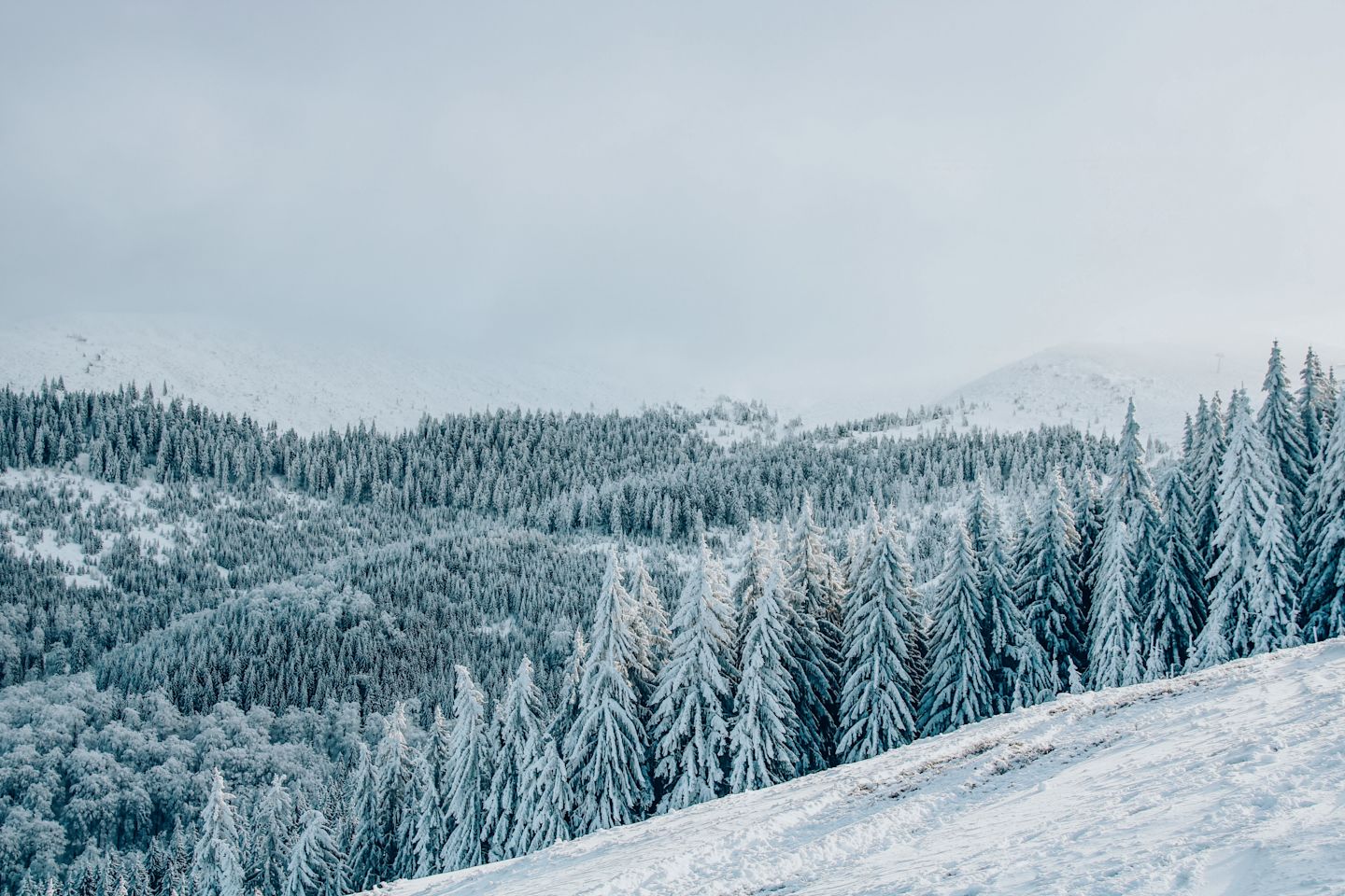 Transylvania under snow