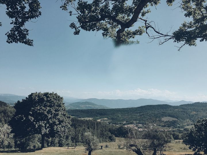 The view