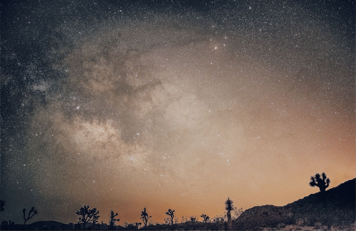 Desert Skies