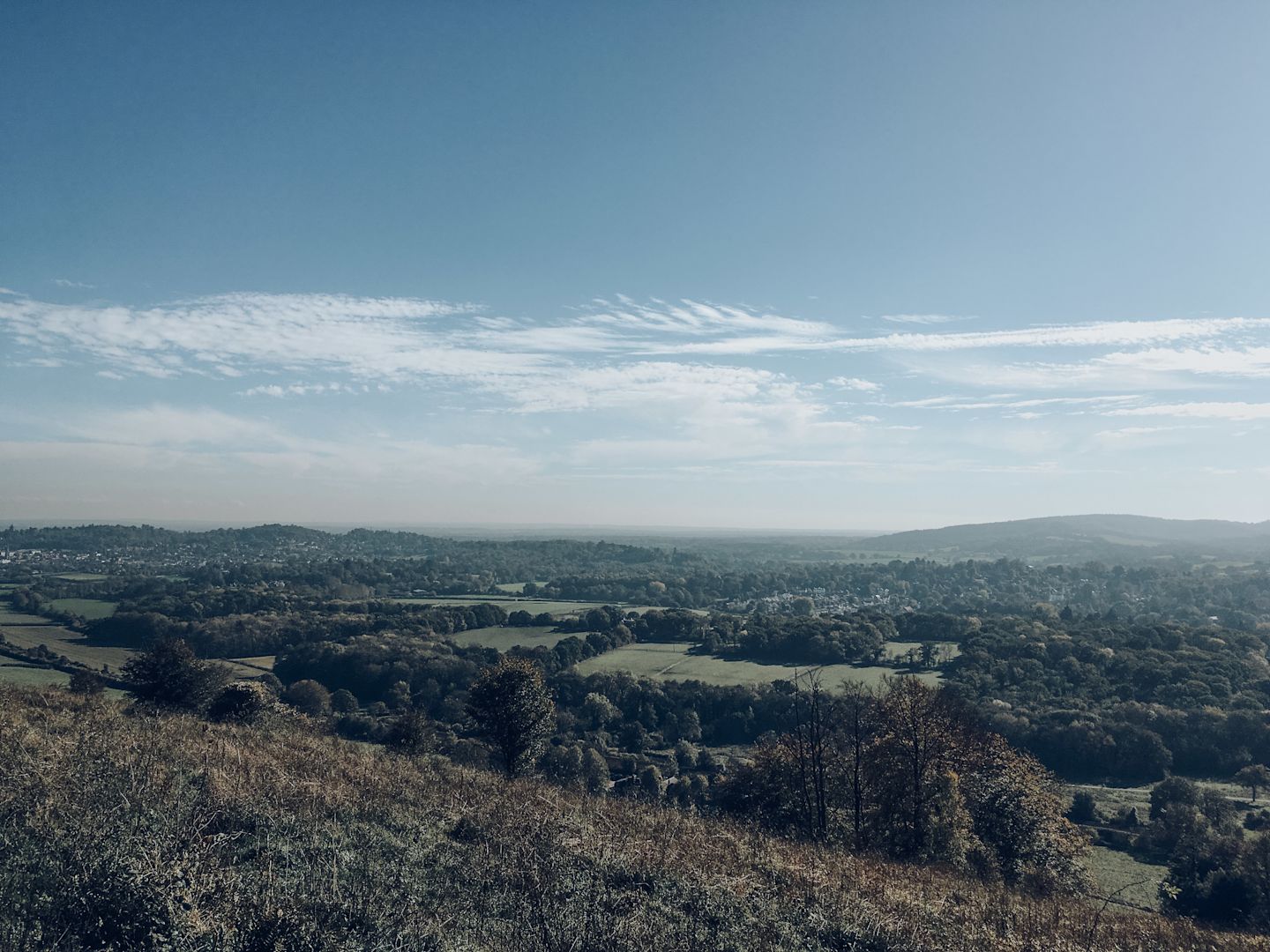 North Downs Way 2