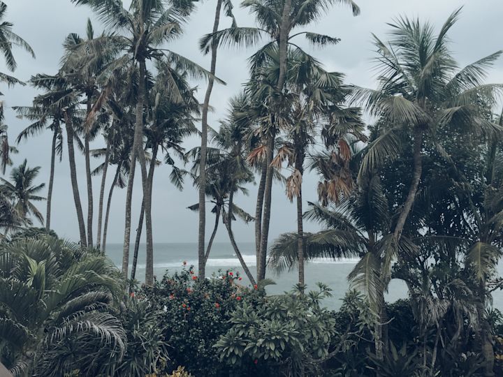 Ocean views