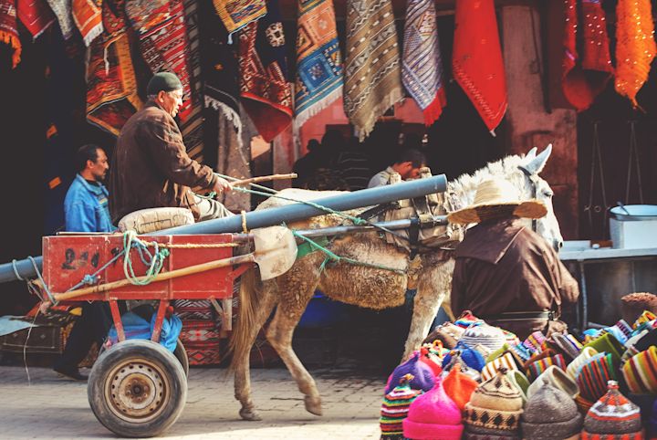 Rustic Marrakech