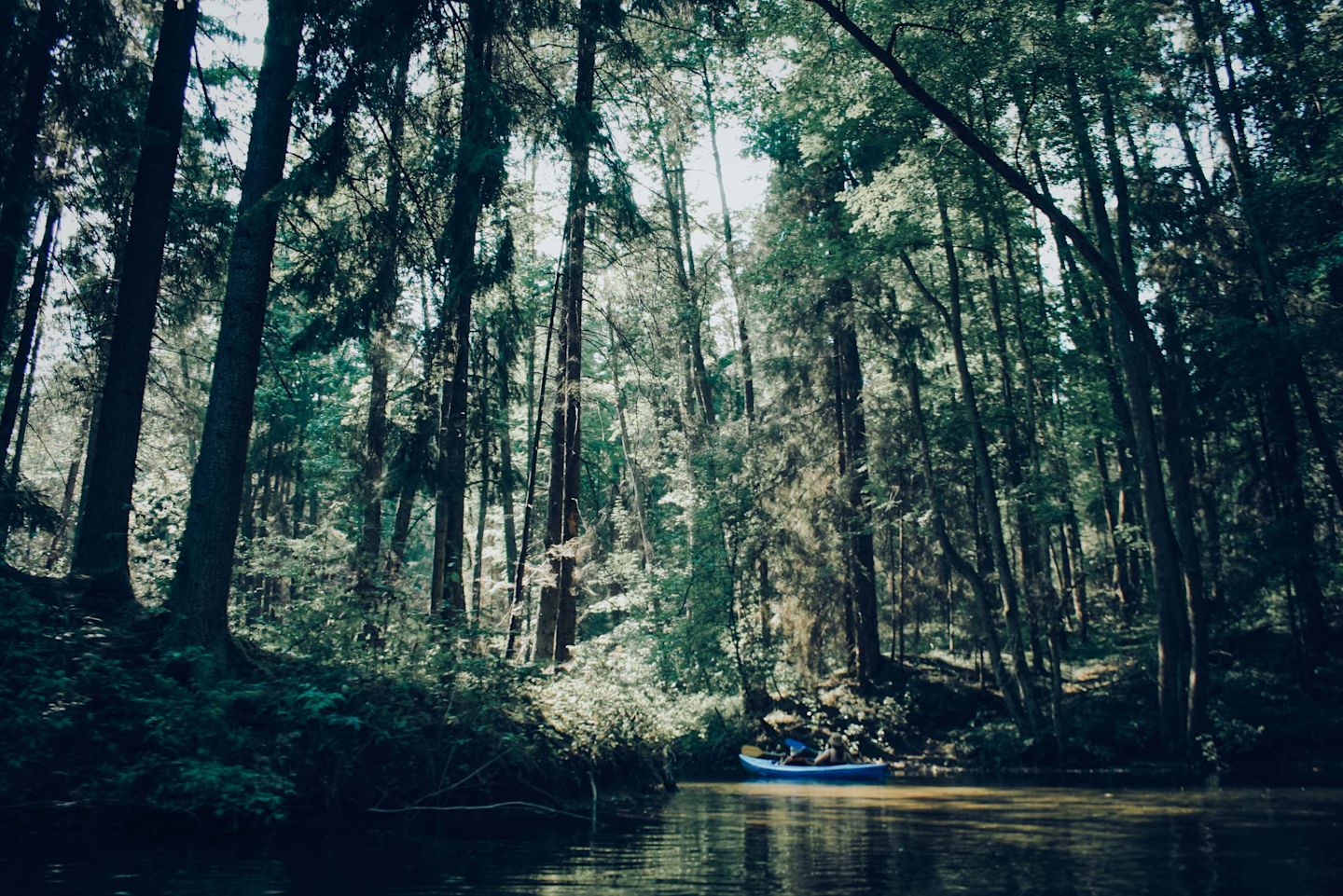 Wild beauty