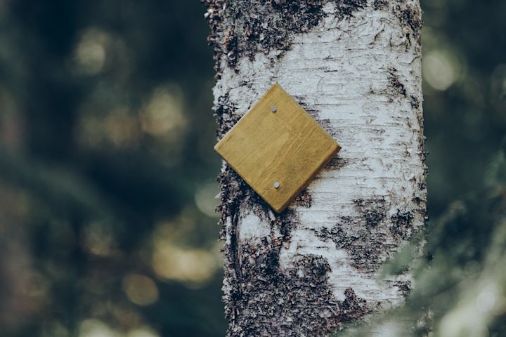 Woodland details