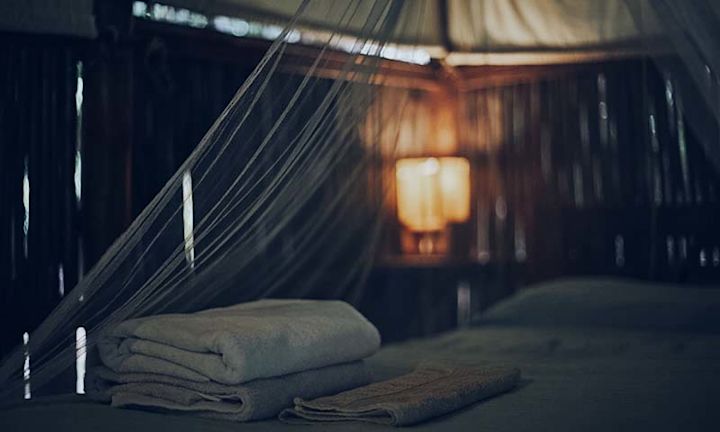 Spa Treatment