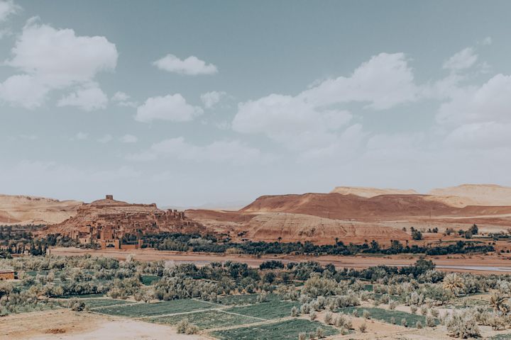 Tree-studded landscape