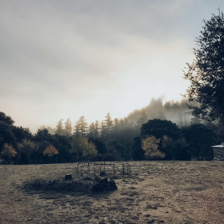 Misty Mornings