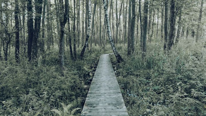 Hidden pathways