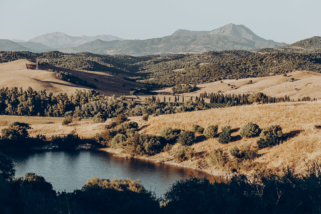 Scenery