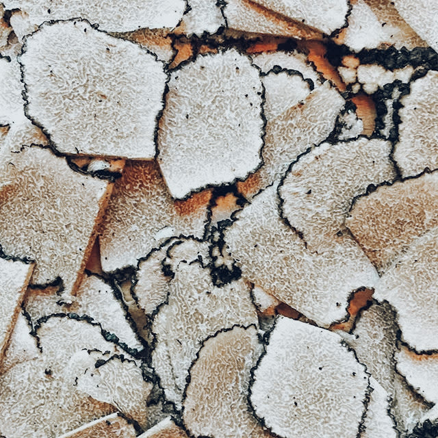 Truffles