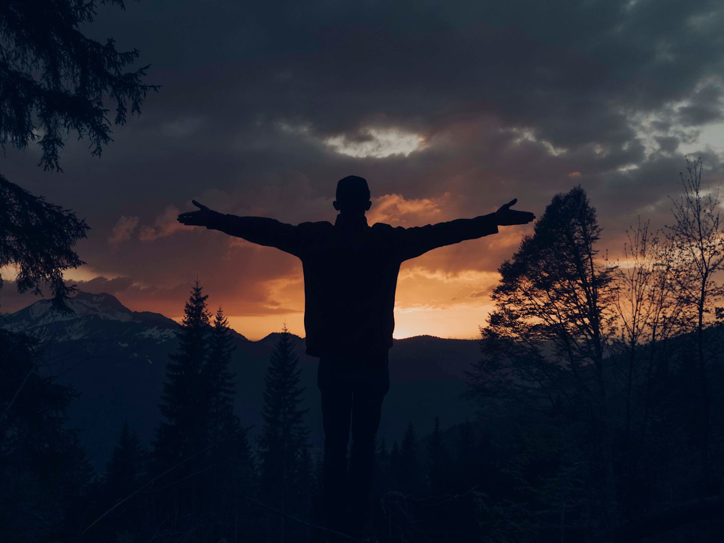 Silhouette