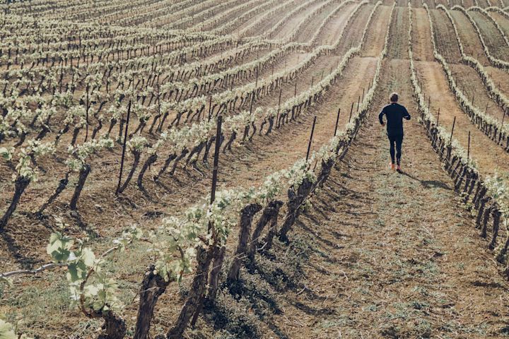 Jogging in the vines