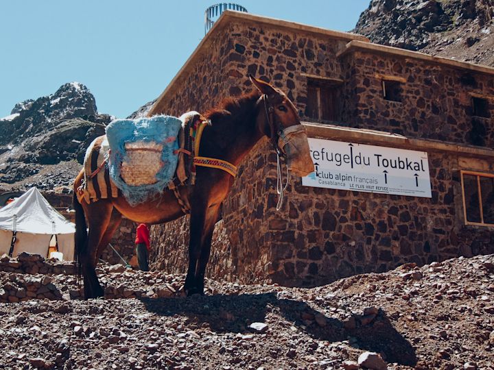 Toubkal refuge