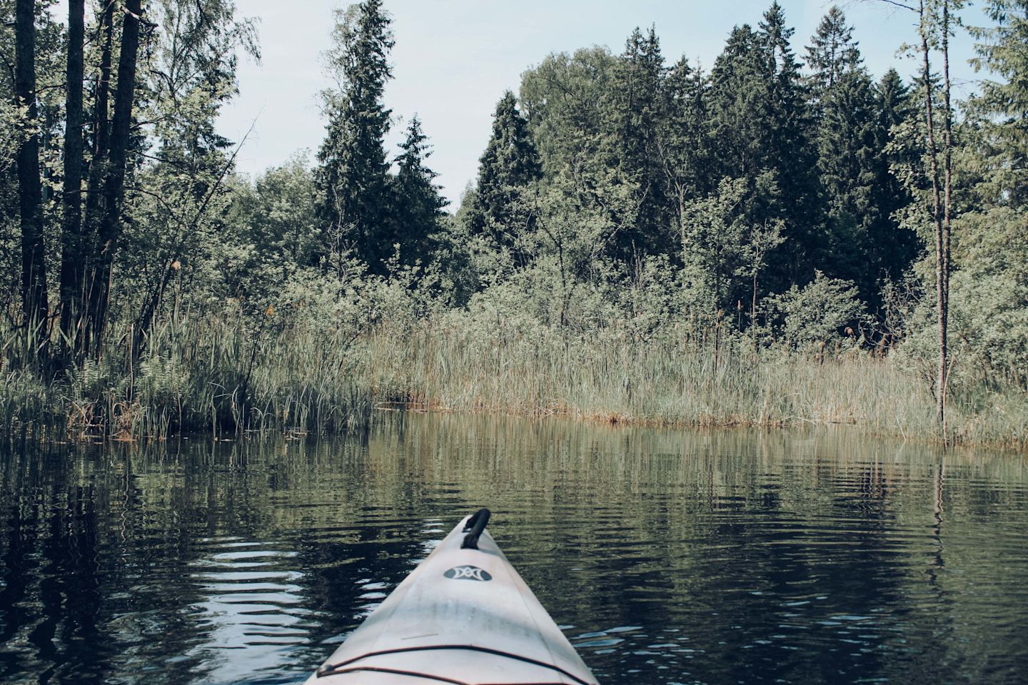 River views from kayak