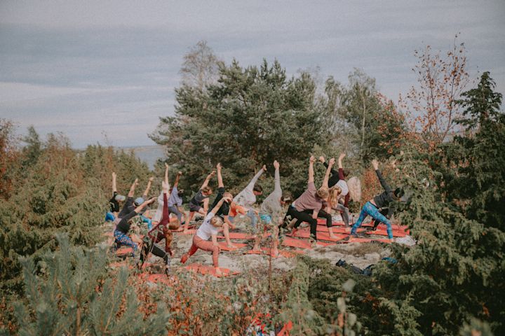 Wild yoga