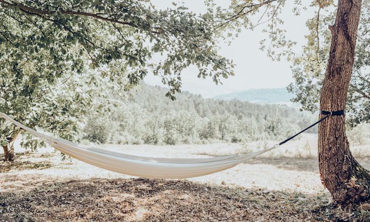 Relaxing Views