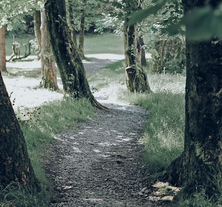 Wooded Path