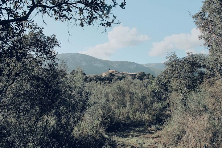 Escape to nature