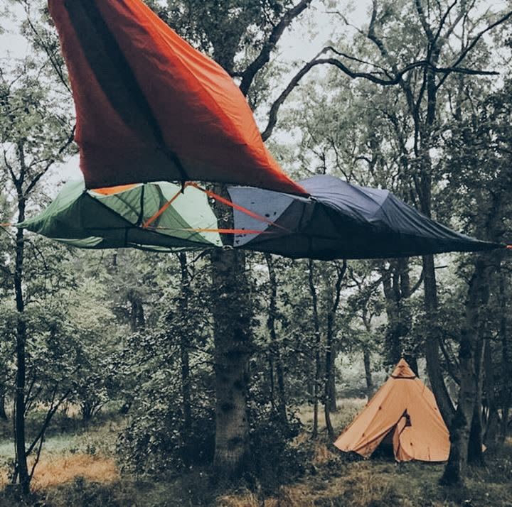Camp among the trees