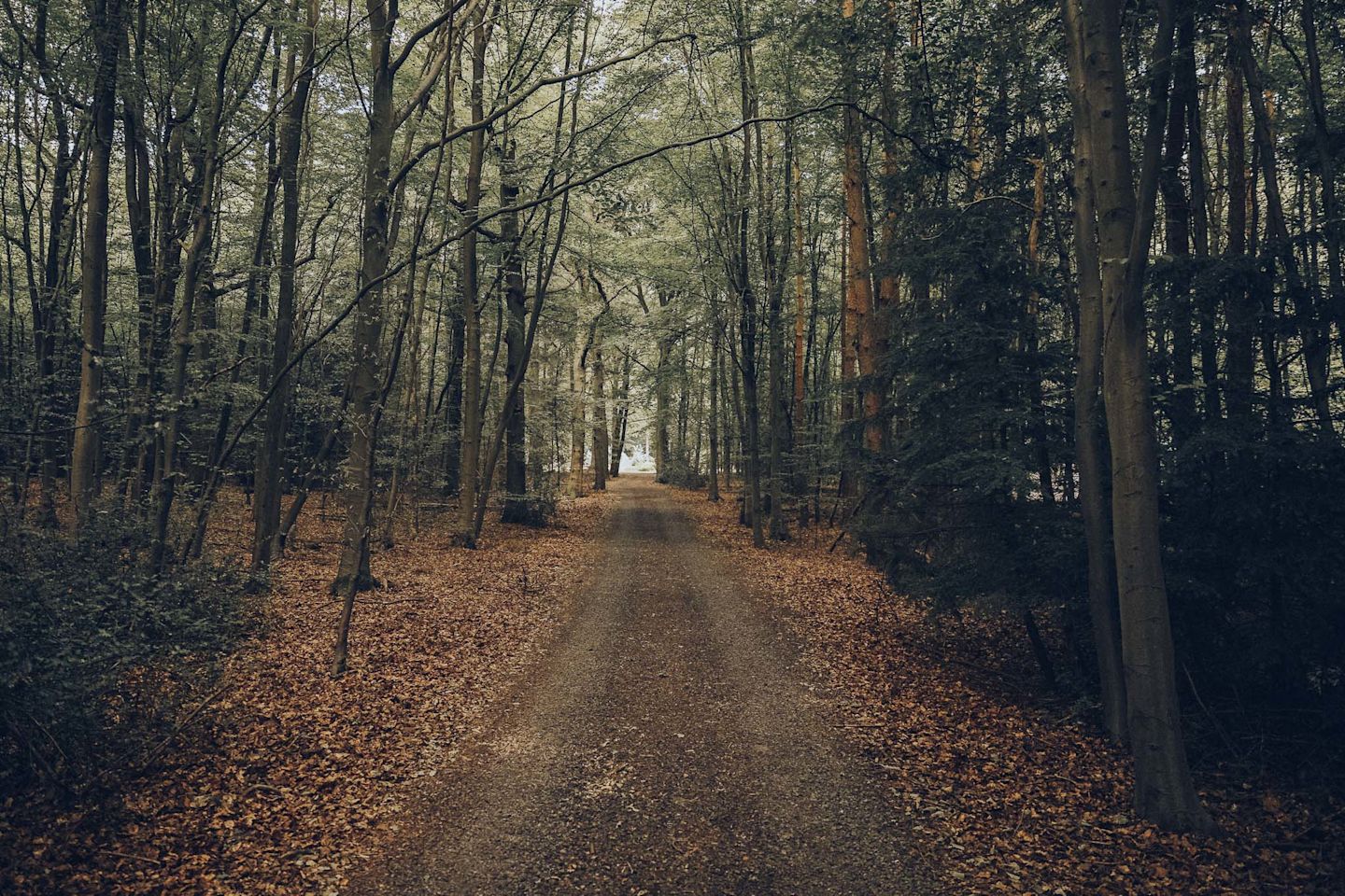 Mystery Location