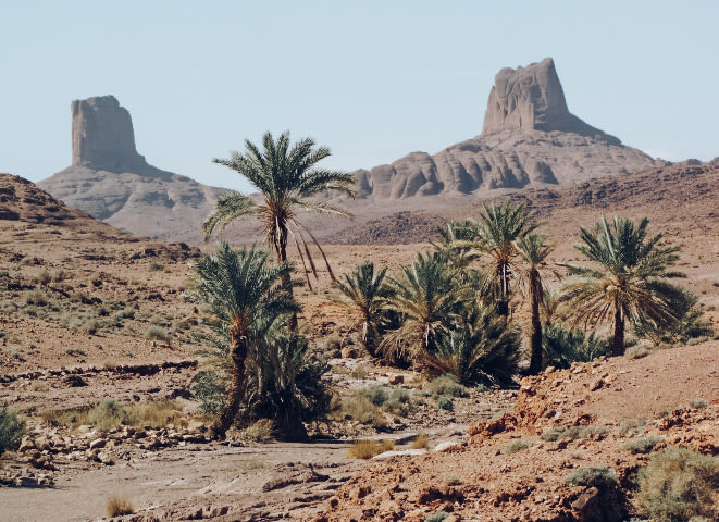 Oasis