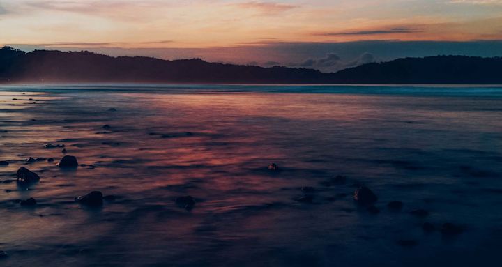 Pink Sunsets