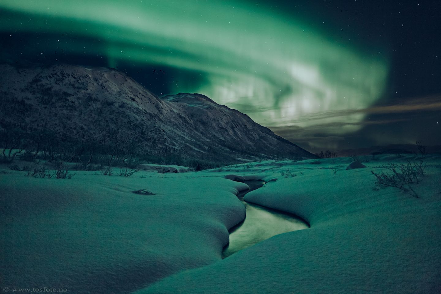 Northern Lights
