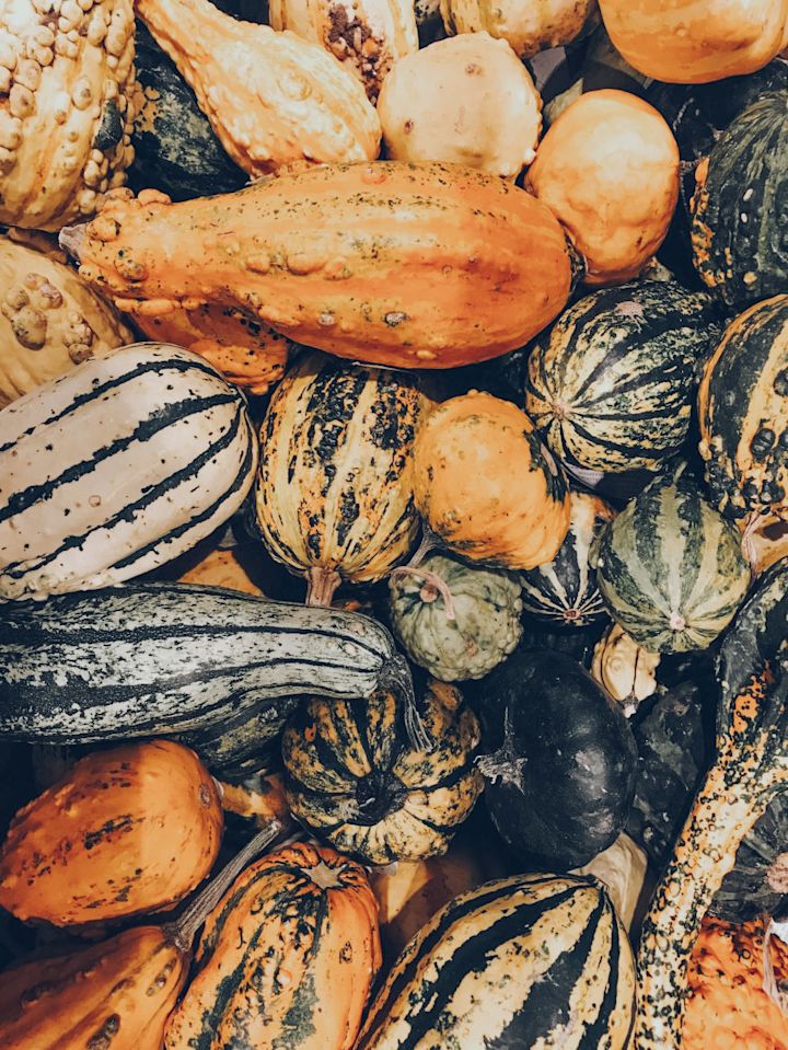 Harvest Foods