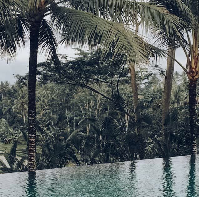 Jungles
