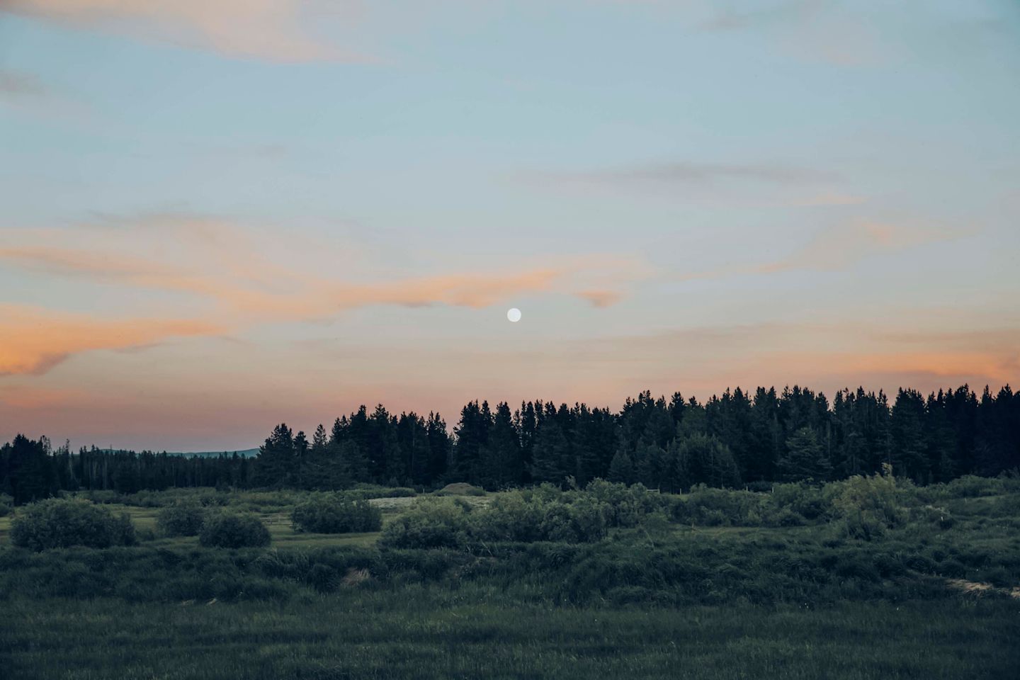 Montana Moon